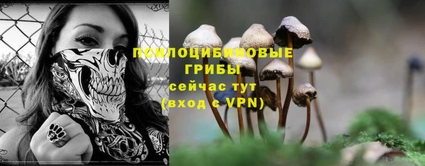 спайс Нягань