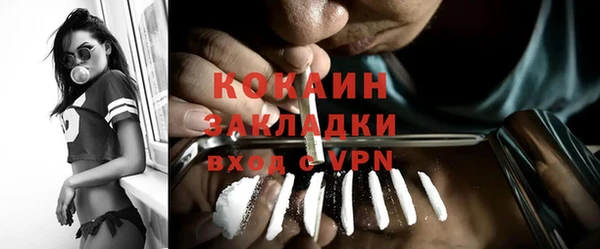 молекула духа Няндома