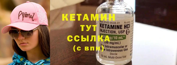 молекула духа Няндома