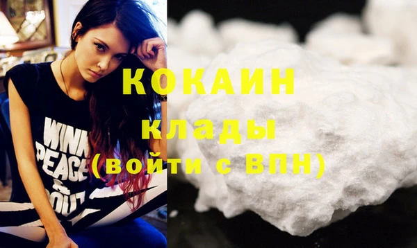 молекула духа Няндома