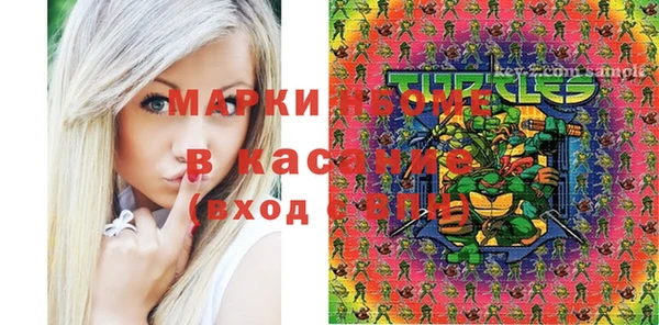 молекула духа Няндома